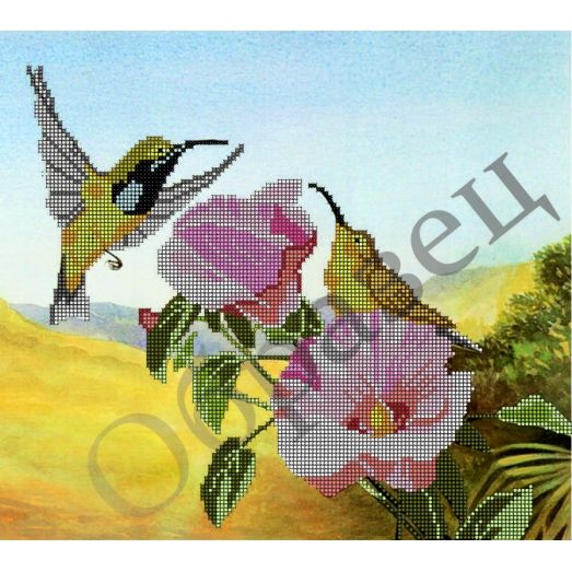Колибри и цветы | Cross stitch flowers, Floral cross stitch, Beautiful cross stitch